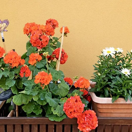 Daire Numero 14 Pietra Ligure